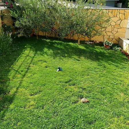 Damir * غراداك