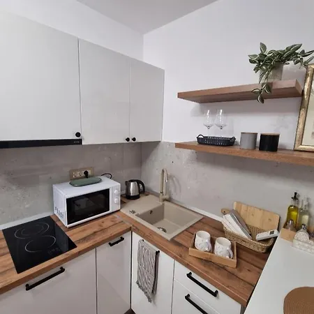 Apartment Damir Gradac (Split-Dalmatia)